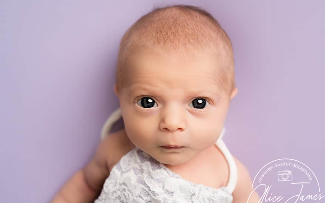 Baby Photoshoot Hitchin