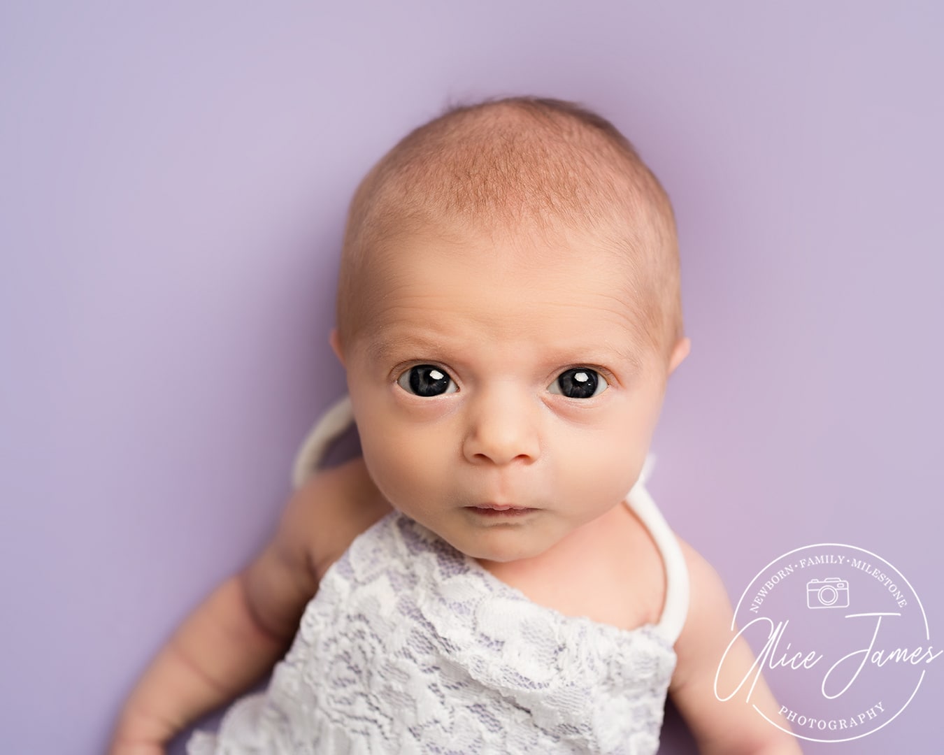 A baby girl wearing a lace romper suit on a lilac background taken at her baby photoshoot Hitchin.